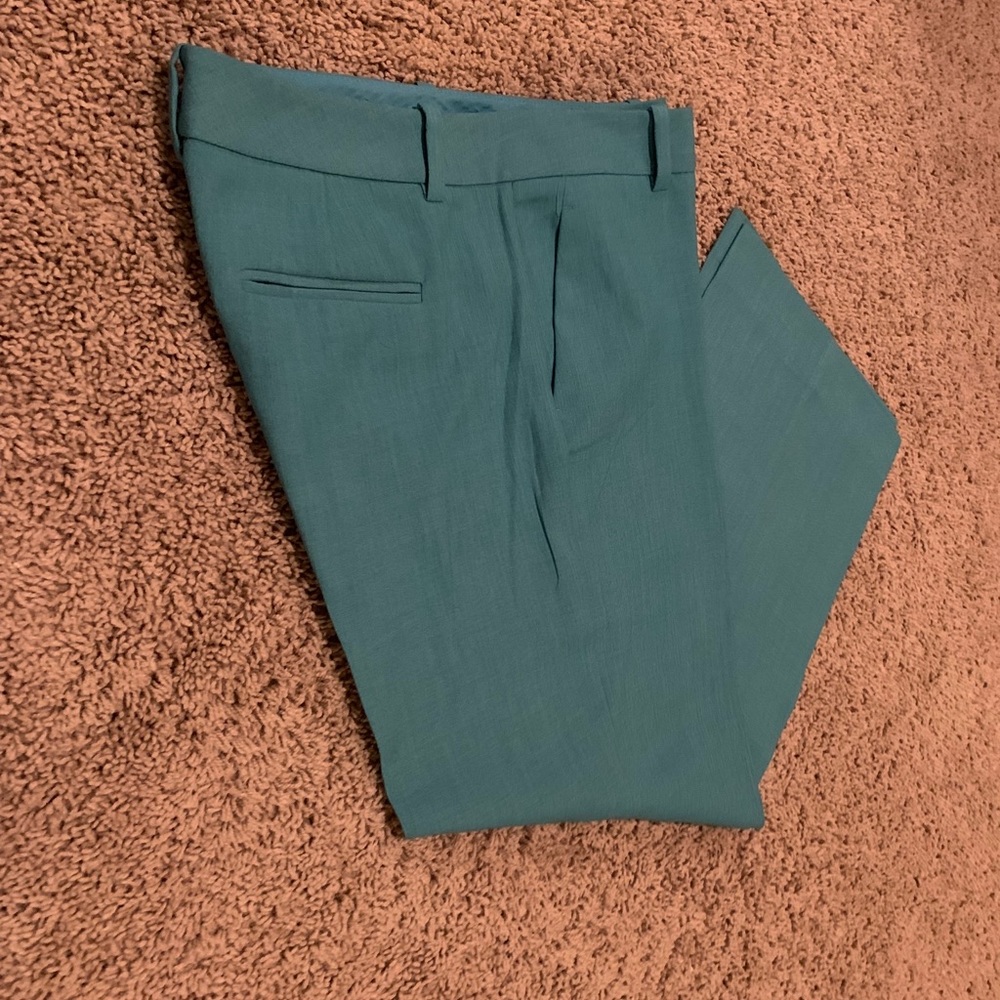 The Limited Brand Pant